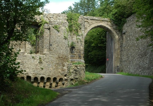 Burg Olbrück