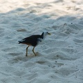 DSC_6069.jpg