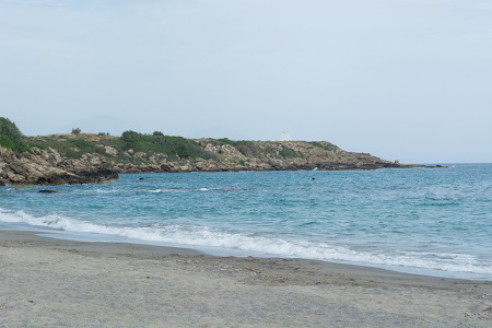 DSC 9579