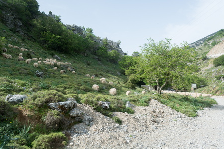 DSC 9582