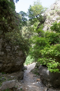 DSC 9591