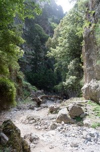DSC 9592