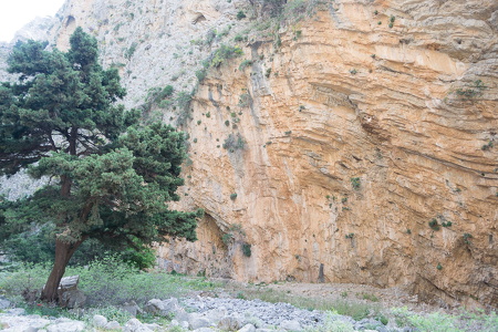 DSC 9597