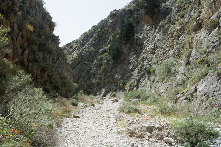 DSC 9602