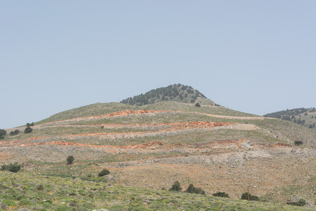 DSC 9604