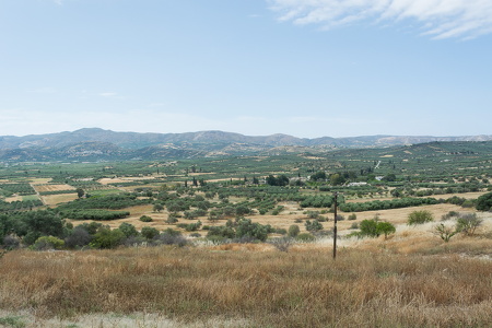 DSC 9698