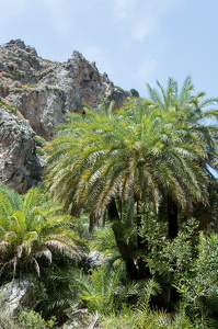 DSC 9712