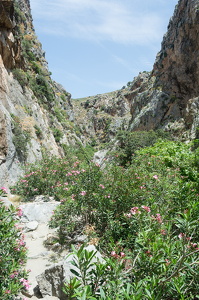 DSC 9714