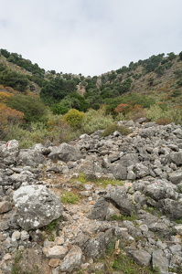 DSC 9766