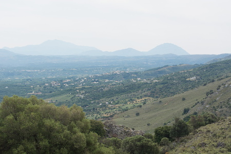 DSC 9771