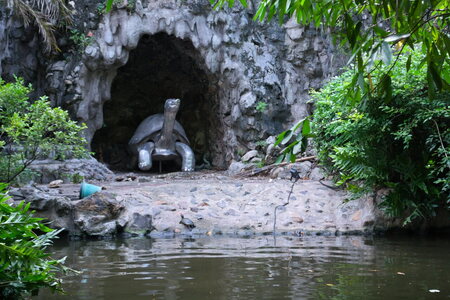 DSC 09801
