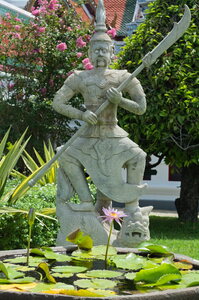 DSC 09838