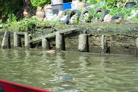DSC 09866