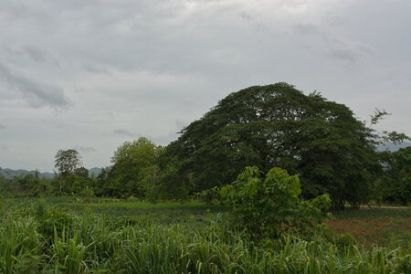 DSC 09904
