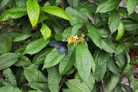 DSC 09915