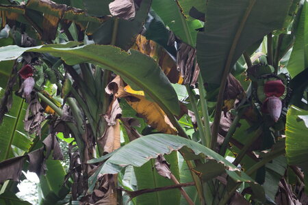 DSC 09948