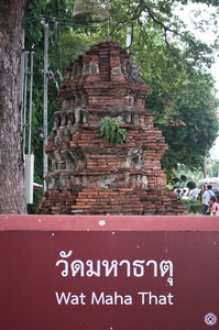 DSC 10013