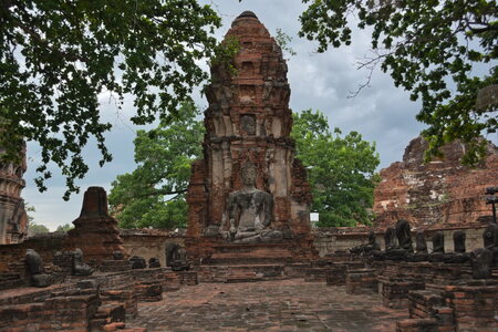 DSC 10017