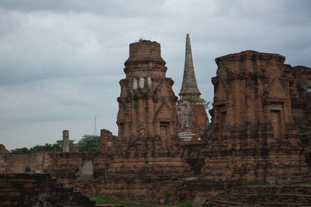 DSC 10019